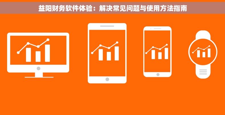 益阳财务软件体验：解决常见问题与使用方法指南