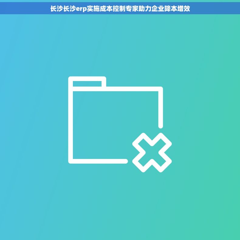 长沙长沙erp实施成本控制专家助力企业降本增效