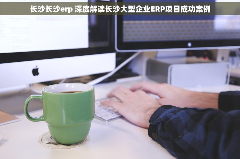 长沙长沙erp 深度解读长沙大型企业ERP项目成功案例