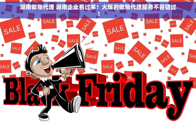 湖南做账代理 湖南企业看过来！火爆的做账代理服务不容错过！
