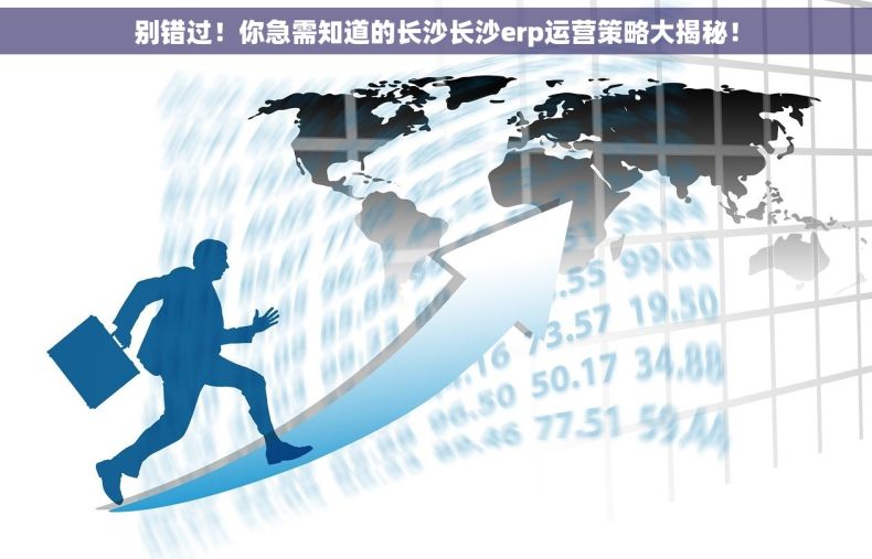别错过！你急需知道的长沙长沙erp运营策略大揭秘！