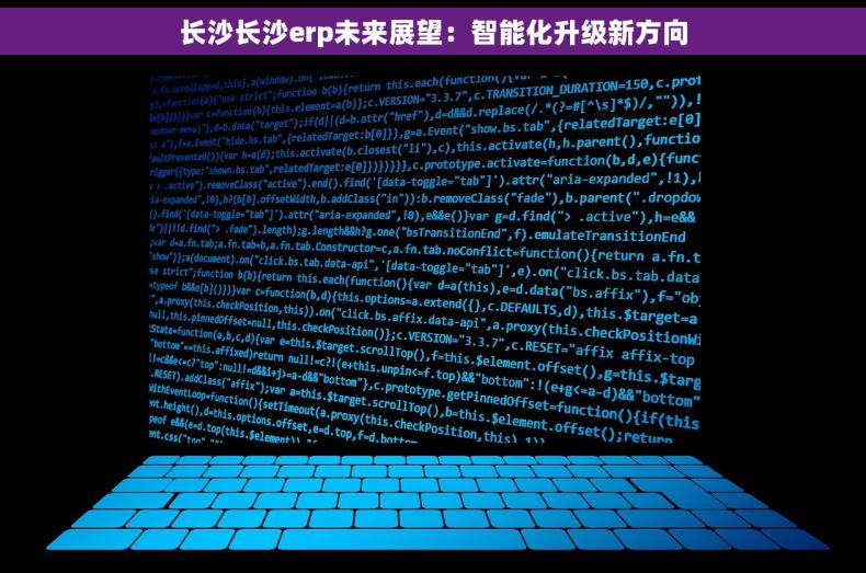 长沙长沙erp未来展望：智能化升级新方向