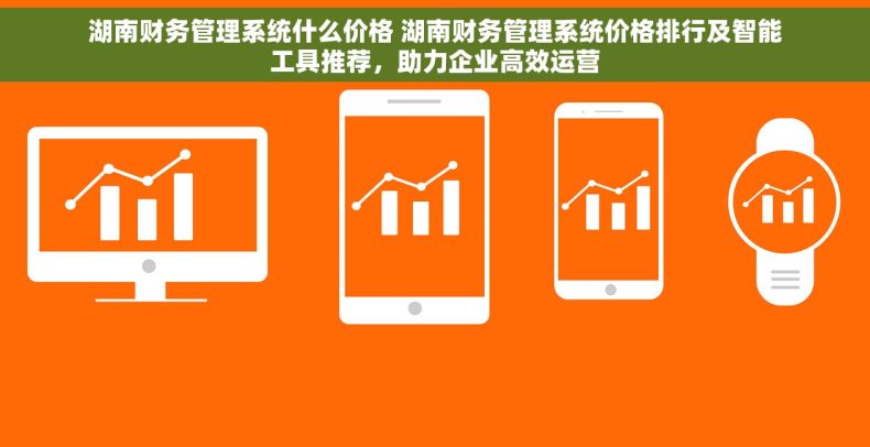 湖南财务管理系统什么价格 湖南财务管理系统价格排行及智能工具推荐，助力企业高效运营