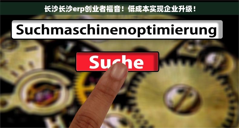 长沙长沙erp创业者福音！低成本实现企业升级！