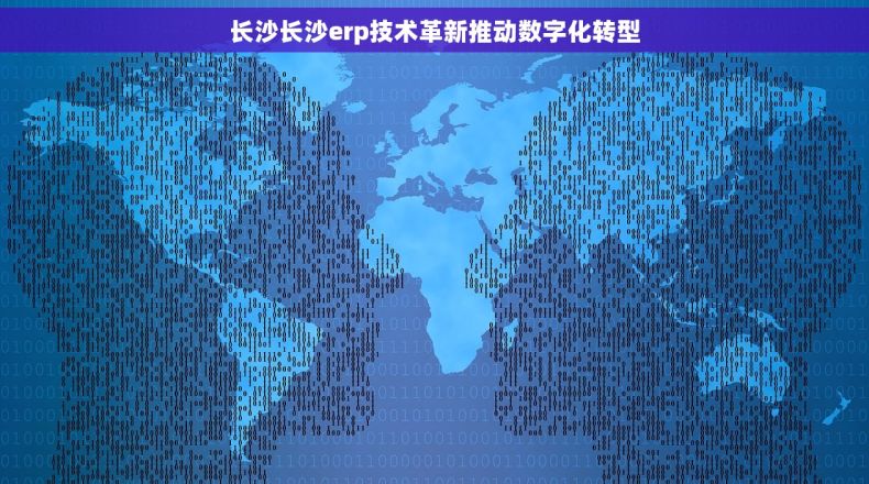 长沙长沙erp技术革新推动数字化转型