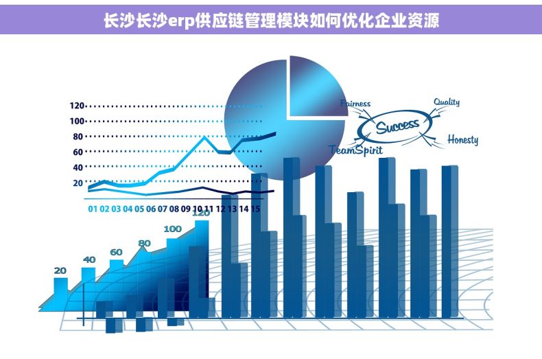 长沙长沙erp供应链管理模块如何优化企业资源