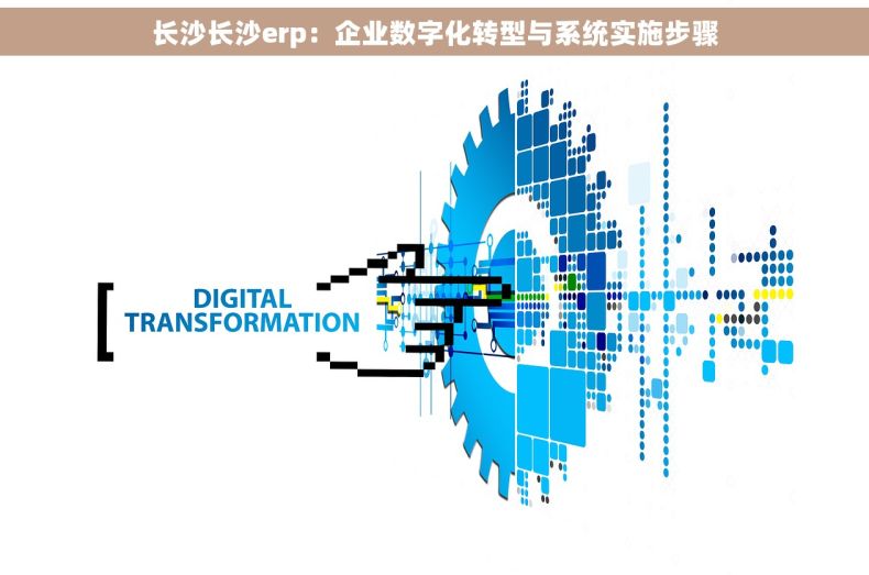 长沙长沙erp：企业数字化转型与系统实施步骤