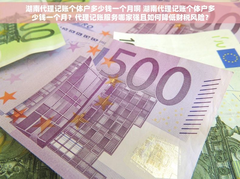 湖南代理记账个体户多少钱一个月啊 湖南代理记账个体户多少钱一个月？代理记账服务哪家强且如何降低财税风险？