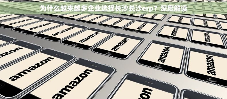 为什么越来越多企业选择长沙长沙erp？深度解读