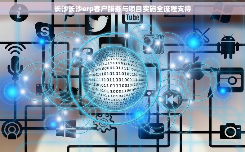 长沙长沙erp客户服务与项目实施全流程支持