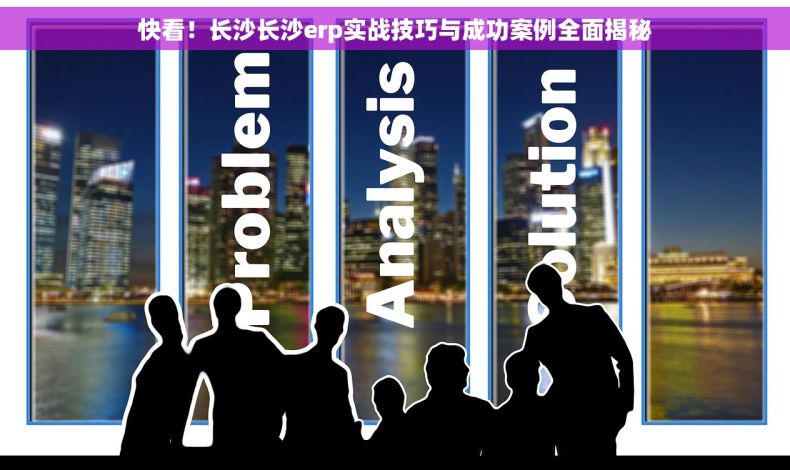 快看！长沙长沙erp实战技巧与成功案例全面揭秘