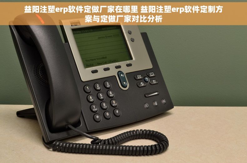 益阳注塑erp软件定做厂家在哪里 益阳注塑erp软件定制方案与定做厂家对比分析