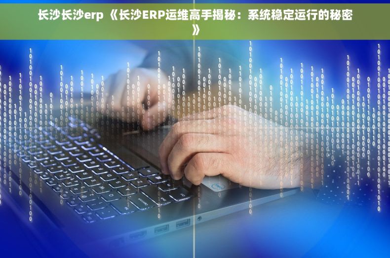 长沙长沙erp 《长沙ERP运维高手揭秘：系统稳定运行的秘密》