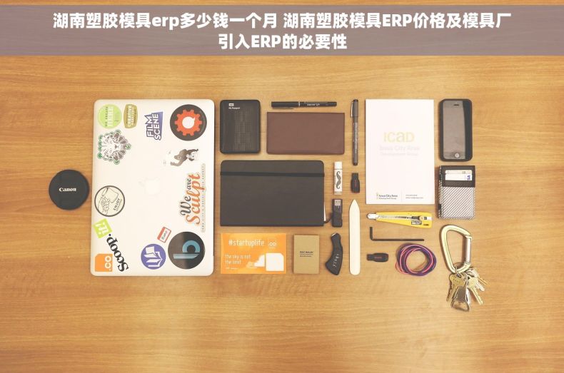 湖南塑胶模具erp多少钱一个月 湖南塑胶模具ERP价格及模具厂引入ERP的必要性