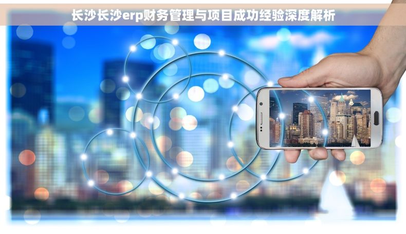 长沙长沙erp财务管理与项目成功经验深度解析