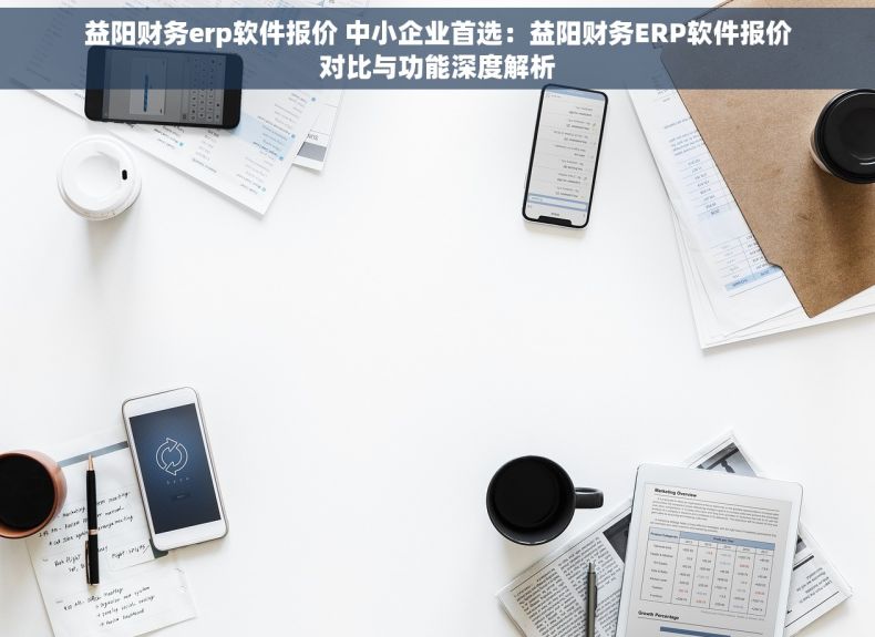 益阳财务erp软件报价 中小企业首选：益阳财务ERP软件报价对比与功能深度解析