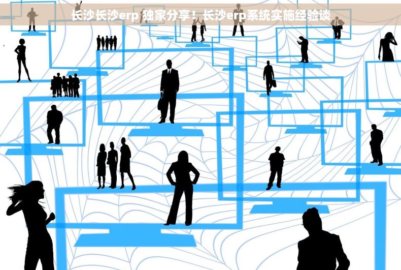 长沙长沙erp 独家分享！长沙erp系统实施经验谈