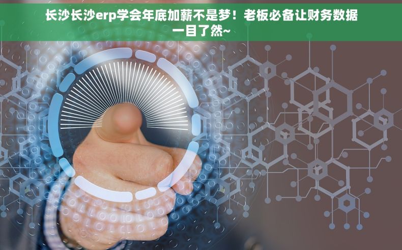 长沙长沙erp学会年底加薪不是梦！老板必备让财务数据一目了然~