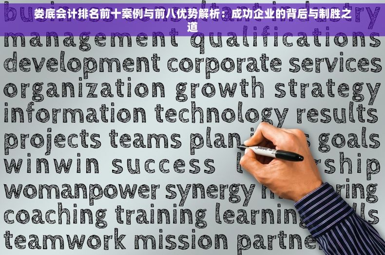 娄底会计排名前十案例与前八优势解析：成功企业的背后与制胜之道
