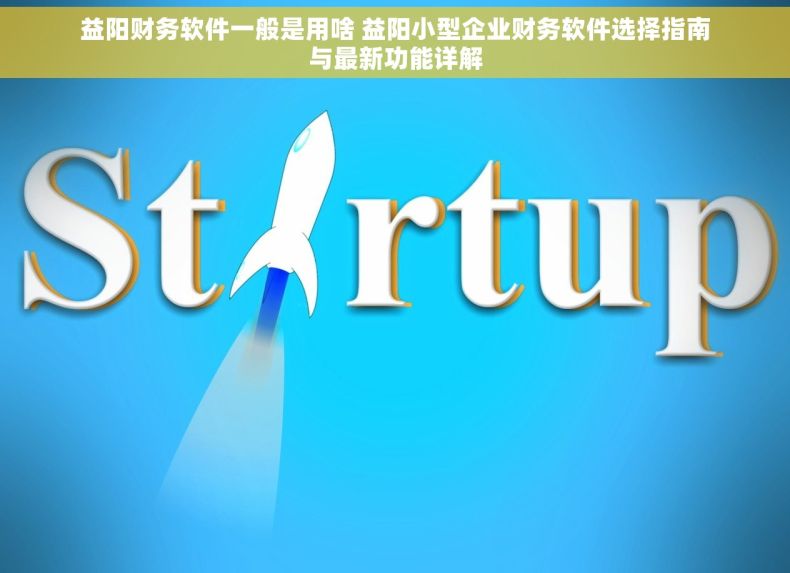 益阳财务软件一般是用啥 益阳小型企业财务软件选择指南与最新功能详解