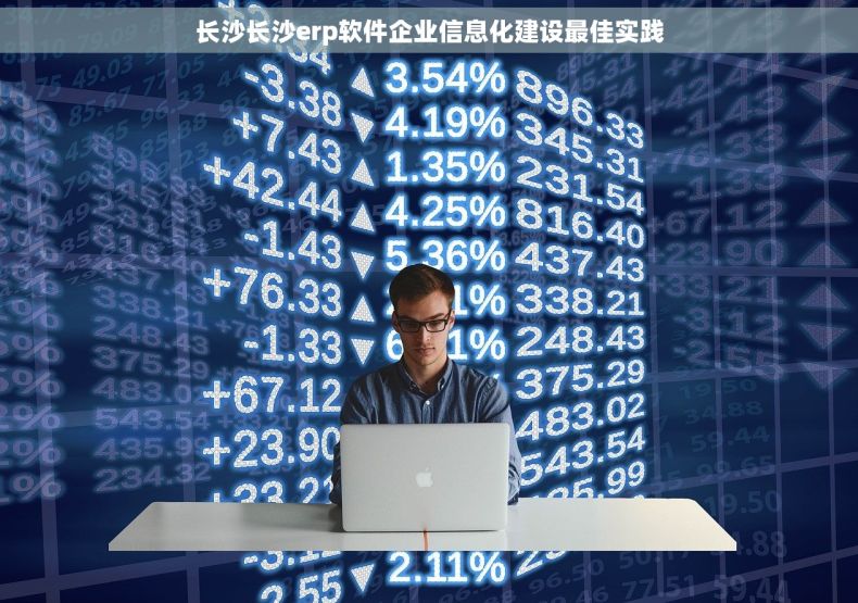 长沙长沙erp软件企业信息化建设最佳实践