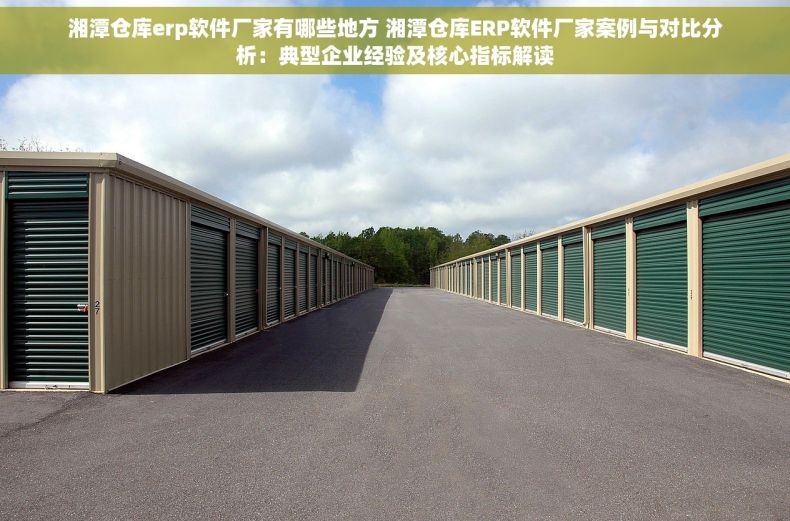 湘潭仓库erp软件厂家有哪些地方 湘潭仓库ERP软件厂家案例与对比分析：典型企业经验及核心指标解读