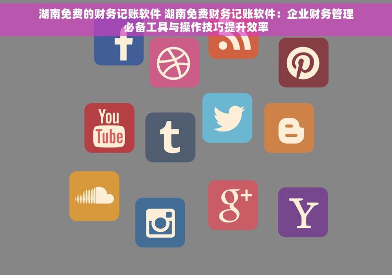 湖南免费的财务记账软件 湖南免费财务记账软件：企业财务管理必备工具与操作技巧提升效率
