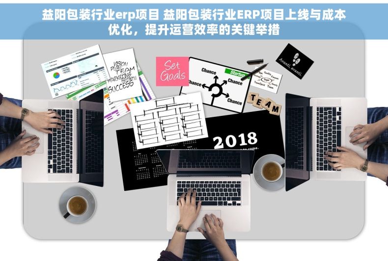 益阳包装行业erp项目 益阳包装行业ERP项目上线与成本优化，提升运营效率的关键举措