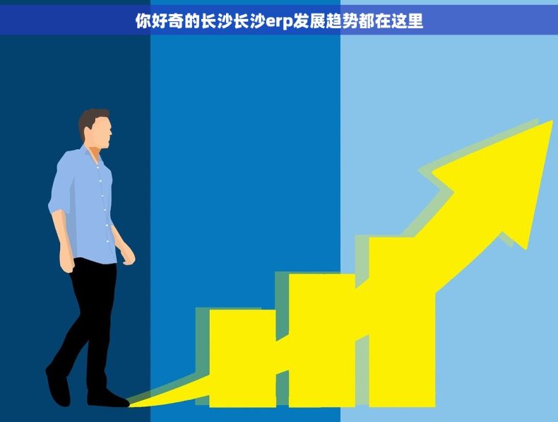 你好奇的长沙长沙erp发展趋势都在这里