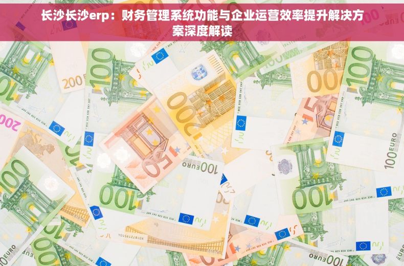 长沙长沙erp：财务管理系统功能与企业运营效率提升解决方案深度解读
