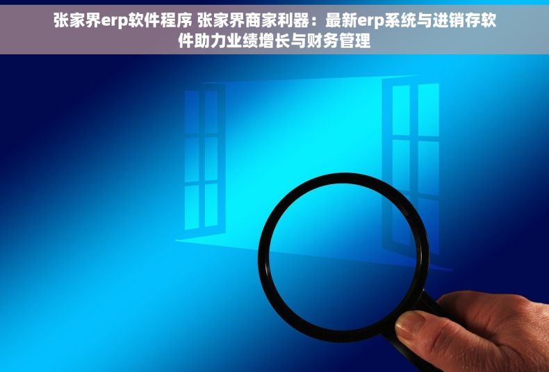 张家界erp软件程序 张家界商家利器：最新erp系统与进销存软件助力业绩增长与财务管理