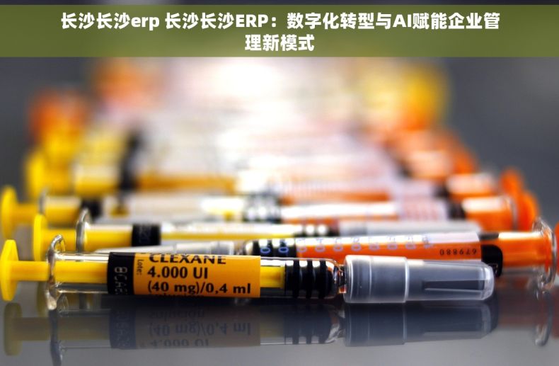 长沙长沙erp 长沙长沙ERP：数字化转型与AI赋能企业管理新模式
