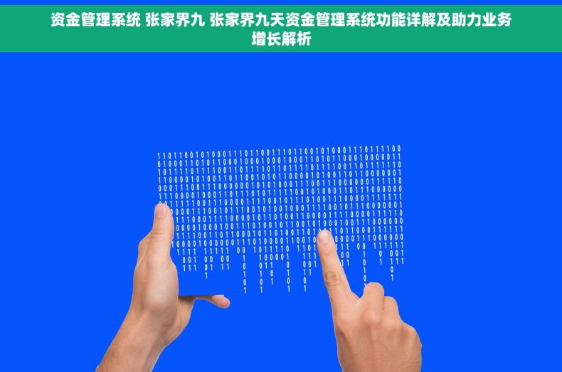 资金管理系统 张家界九 张家界九天资金管理系统功能详解及助力业务增长解析
