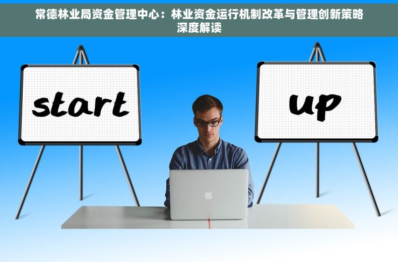 常德林业局资金管理中心：林业资金运行机制改革与管理创新策略深度解读