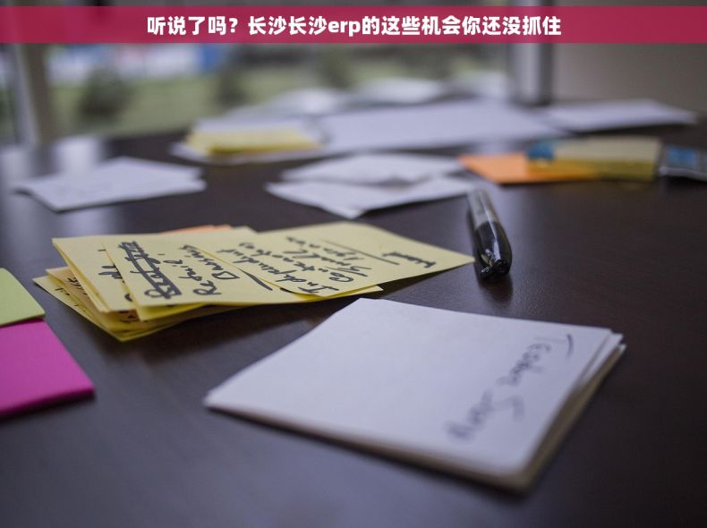 听说了吗？长沙长沙erp的这些机会你还没抓住