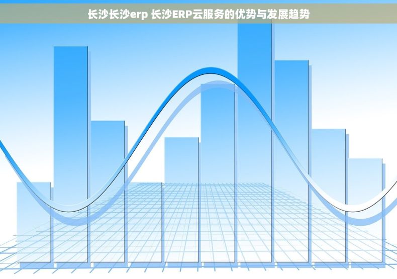长沙长沙erp 长沙ERP云服务的优势与发展趋势