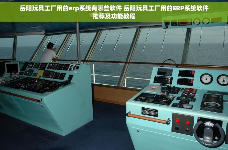 岳阳玩具工厂用的erp系统有哪些软件 岳阳玩具工厂用的ERP系统软件推荐及功能教程