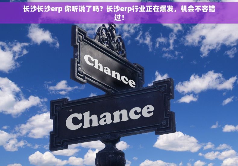 长沙长沙erp 你听说了吗？长沙erp行业正在爆发，机会不容错过！