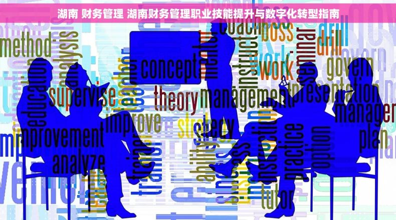 湖南 财务管理 湖南财务管理职业技能提升与数字化转型指南