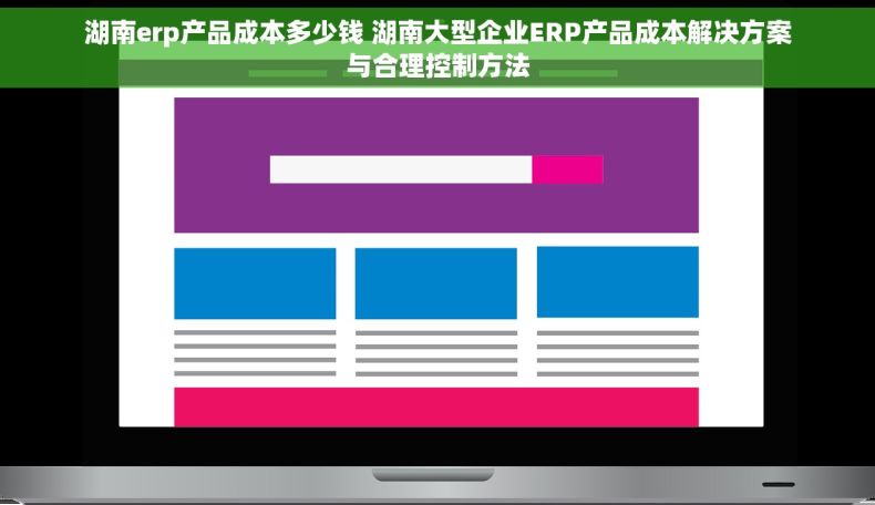 湖南erp产品成本多少钱 湖南大型企业ERP产品成本解决方案与合理控制方法