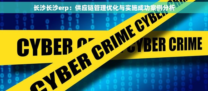 长沙长沙erp：供应链管理优化与实施成功案例分析
