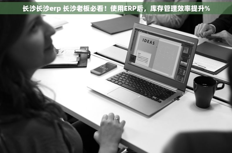 长沙长沙erp 长沙老板必看！使用ERP后，库存管理效率提升%
