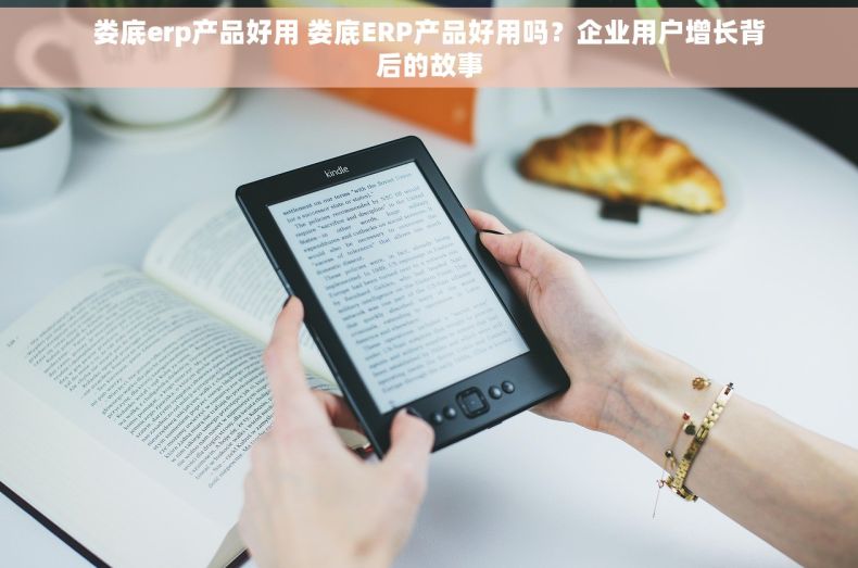 娄底erp产品好用 娄底ERP产品好用吗？企业用户增长背后的故事