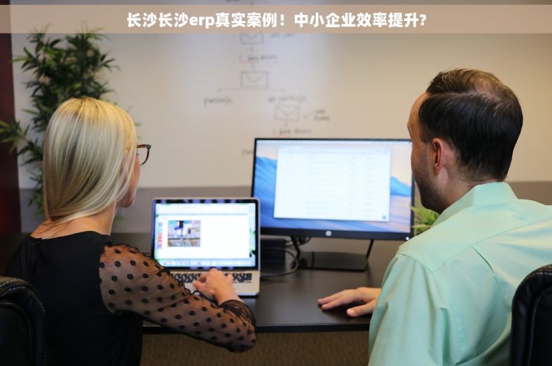 长沙长沙erp真实案例！中小企业效率提升?