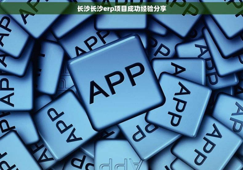 长沙长沙erp项目成功经验分享