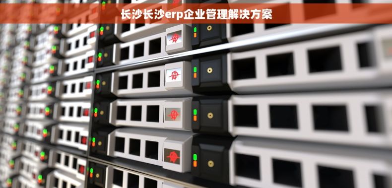 长沙长沙erp企业管理解决方案
