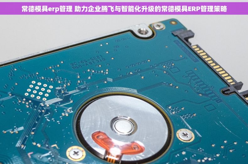 常德模具erp管理 助力企业腾飞与智能化升级的常德模具ERP管理策略