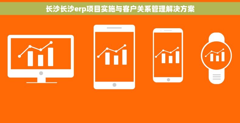 长沙长沙erp项目实施与客户关系管理解决方案