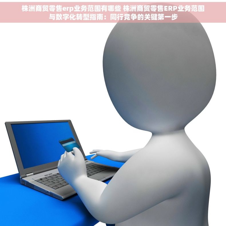 株洲商贸零售erp业务范围有哪些 株洲商贸零售ERP业务范围与数字化转型指南：同行竞争的关键第一步