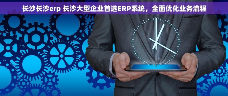 长沙长沙erp 长沙大型企业首选ERP系统，全面优化业务流程